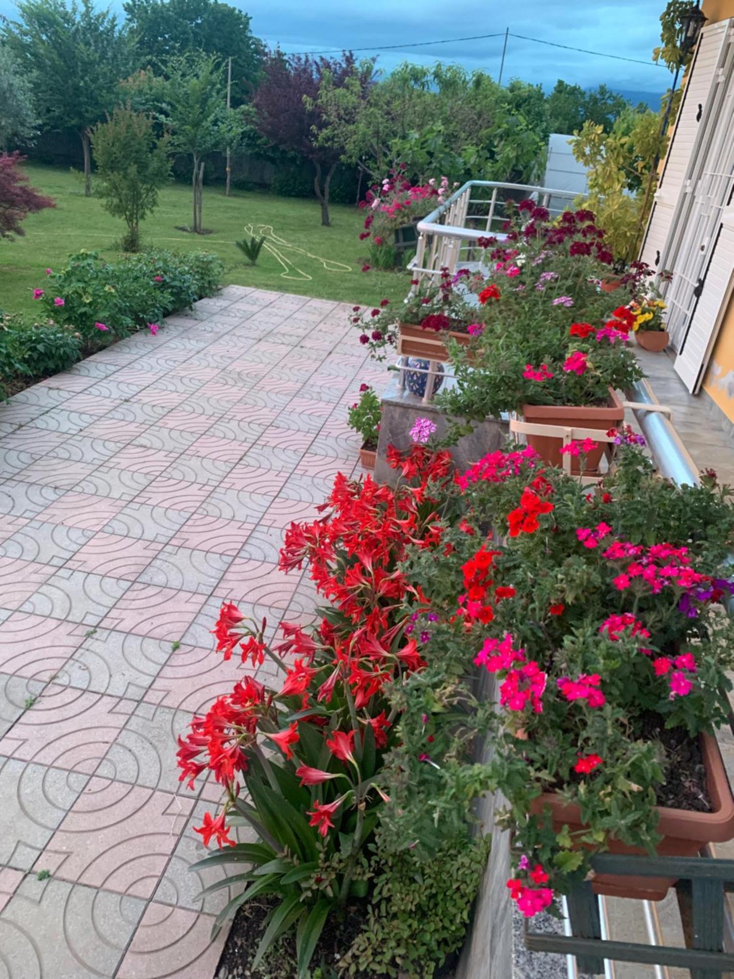 Hotel Villa Linda Шкодер Экстерьер фото