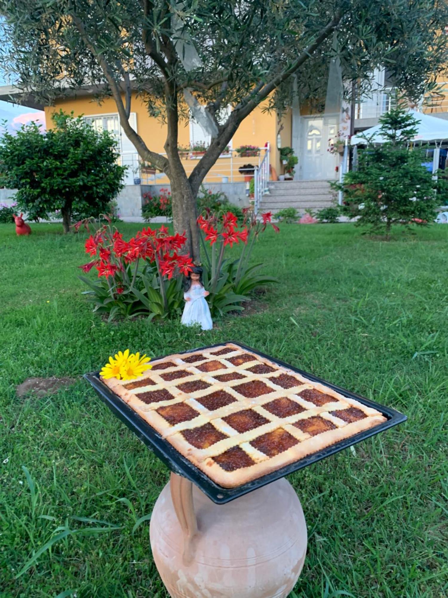 Hotel Villa Linda Шкодер Экстерьер фото