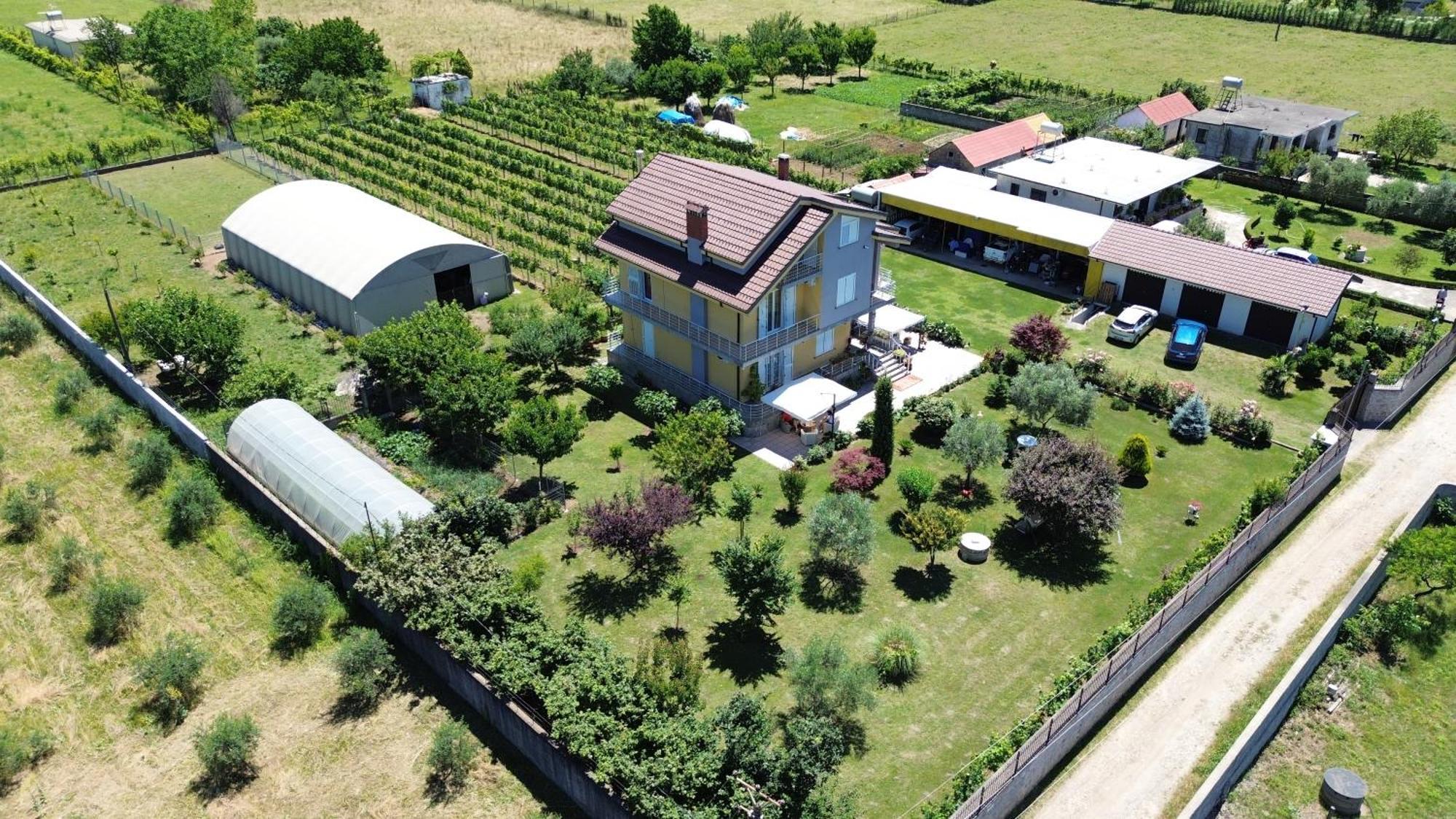 Hotel Villa Linda Шкодер Экстерьер фото